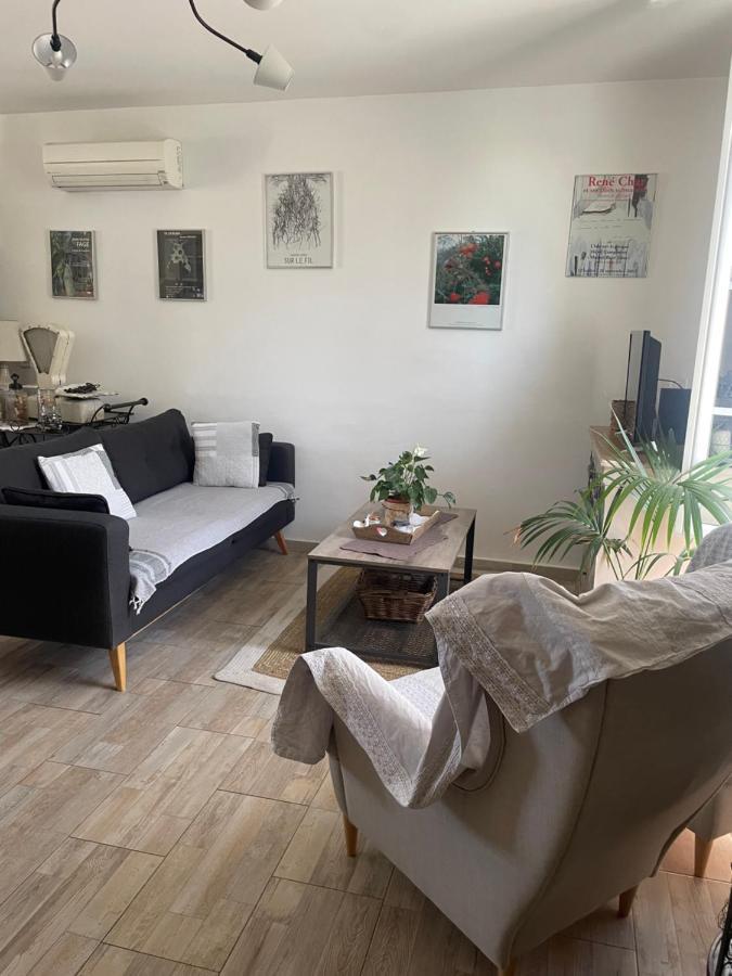 Appartement Avec Jardin En Ville L'Isle-sur-la-Sorgue Ngoại thất bức ảnh
